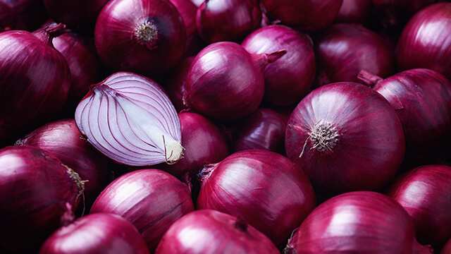 Onion Suppliers In Gujarat