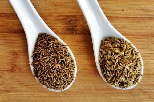 Cumin seeds suppliers In India