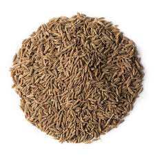 Cumin Seeds Suppliers