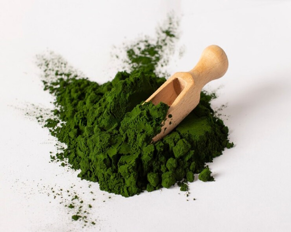 S N MEHANDI INDUSTRIES