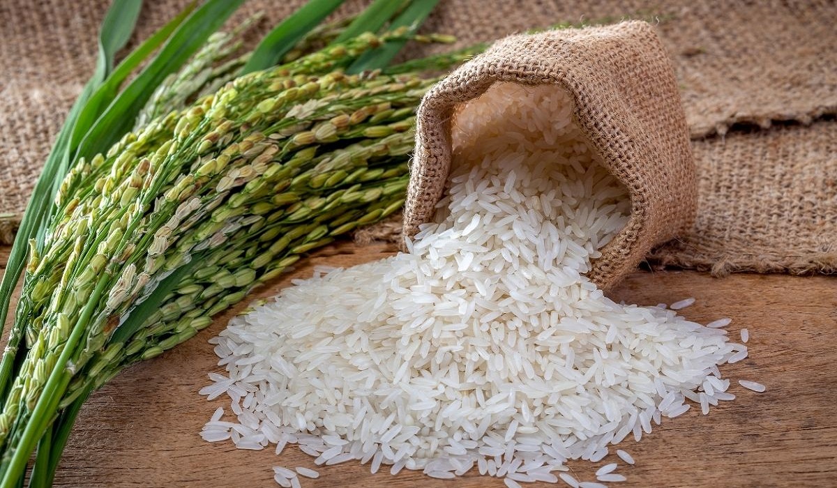 Rice