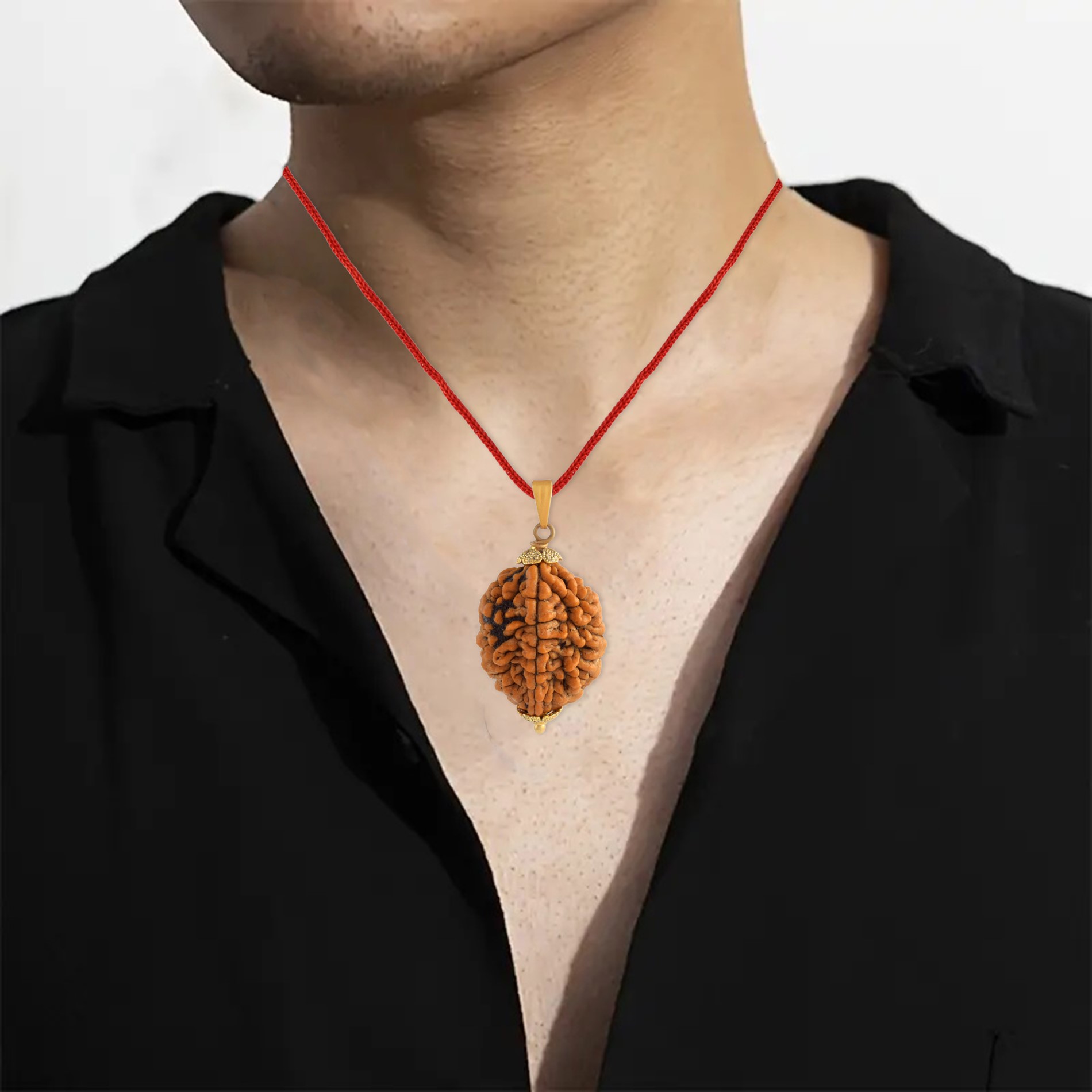 2 Mukhi Nepali Rudraksha