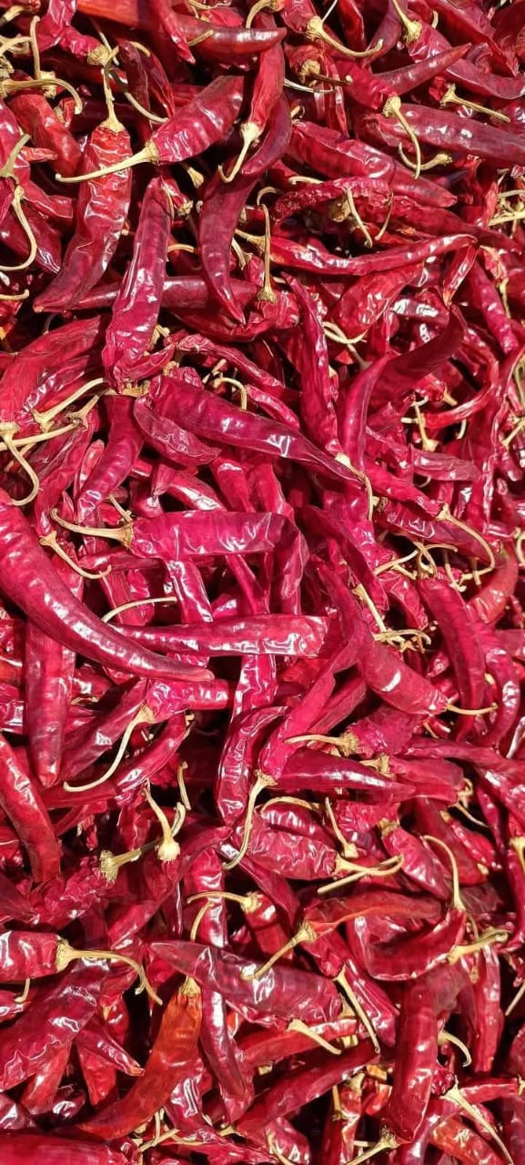 Dry Red Chilli