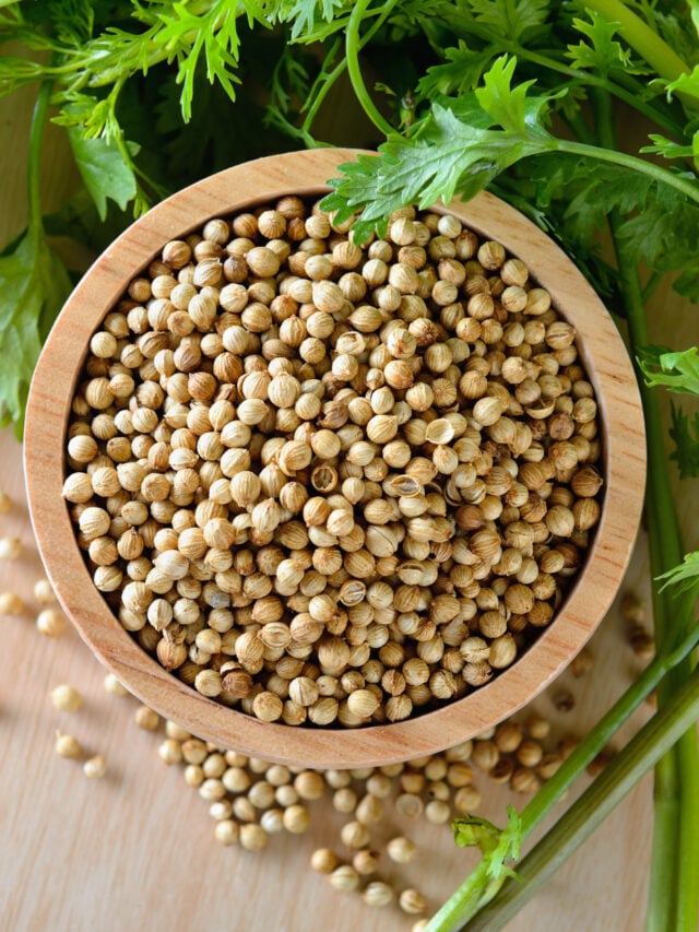 Coriander Seeds
