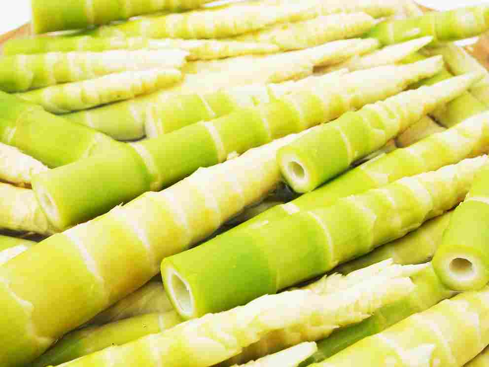Bamboo shoots