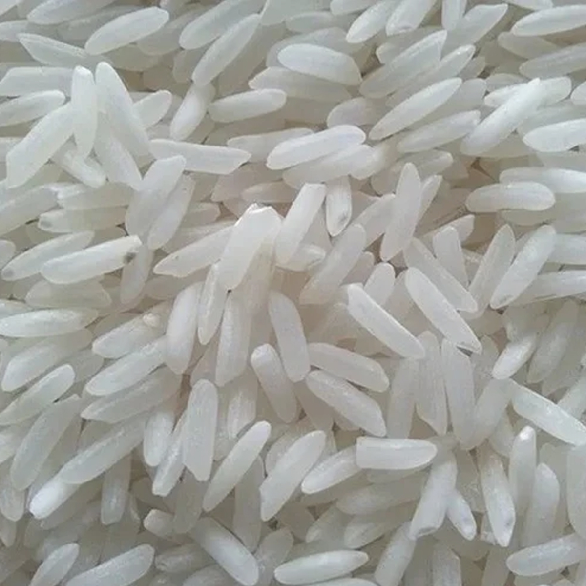 Non-Basmati Rice