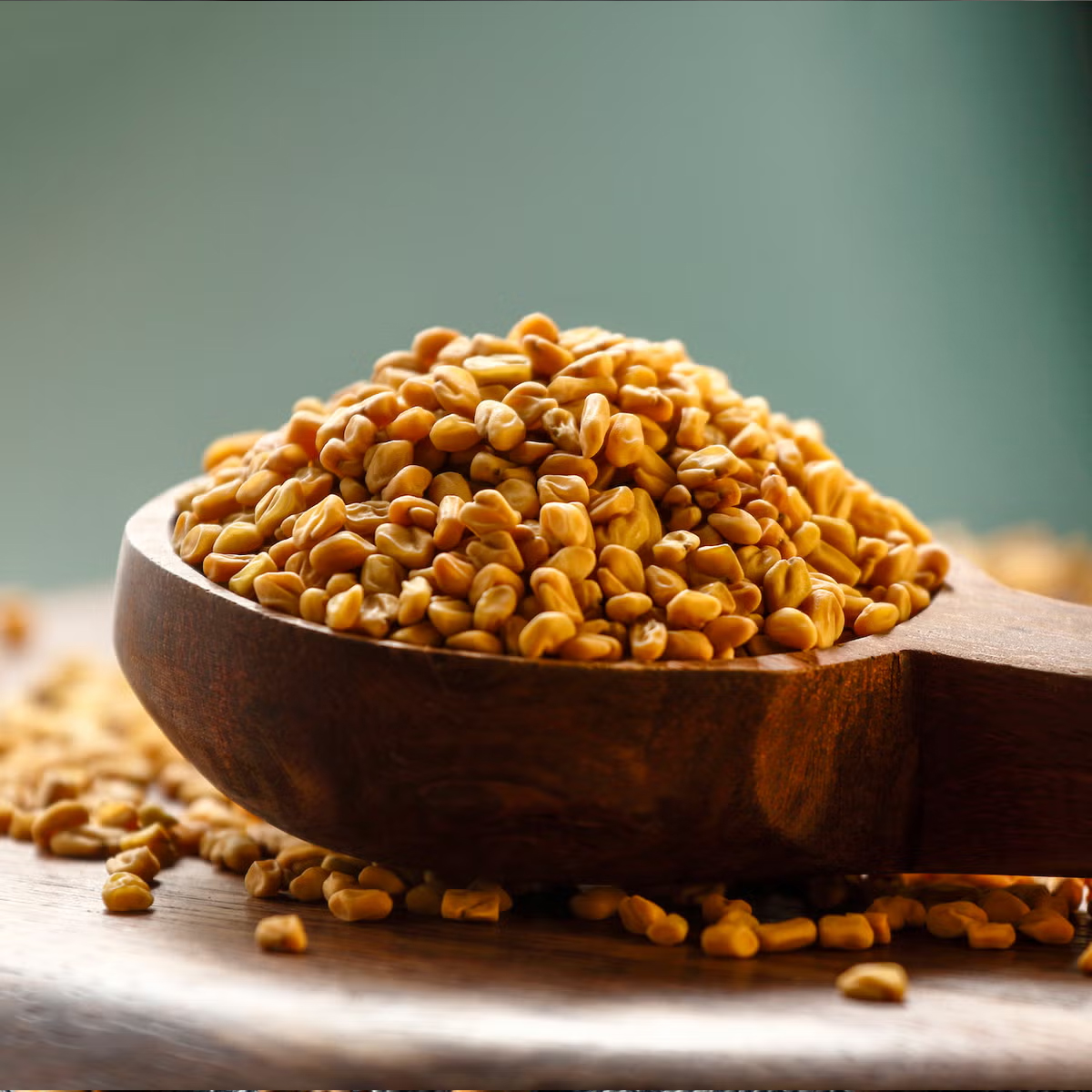 Fenugreek Seed
