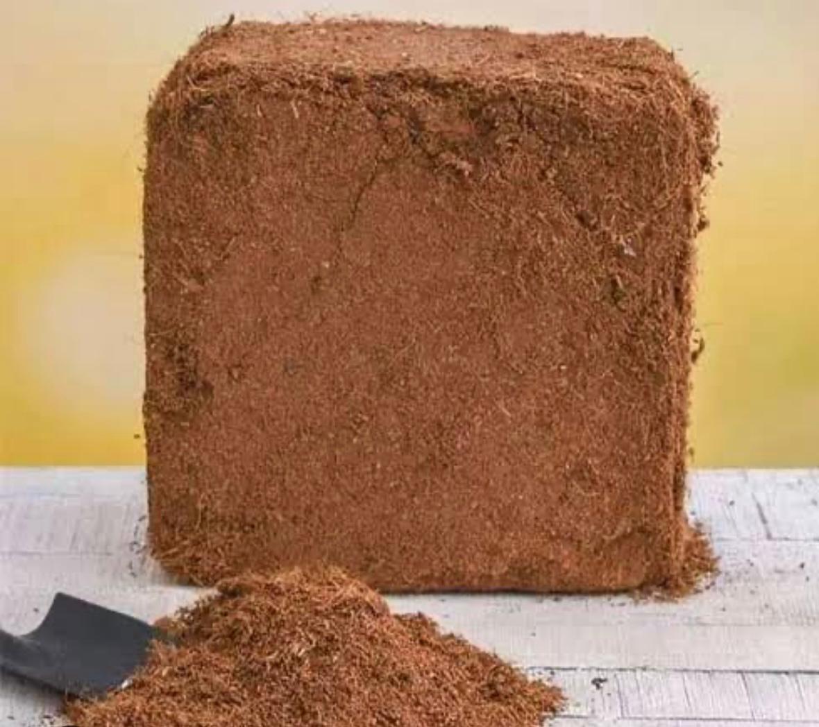Cocopeat Block