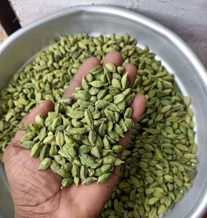 Cardamom