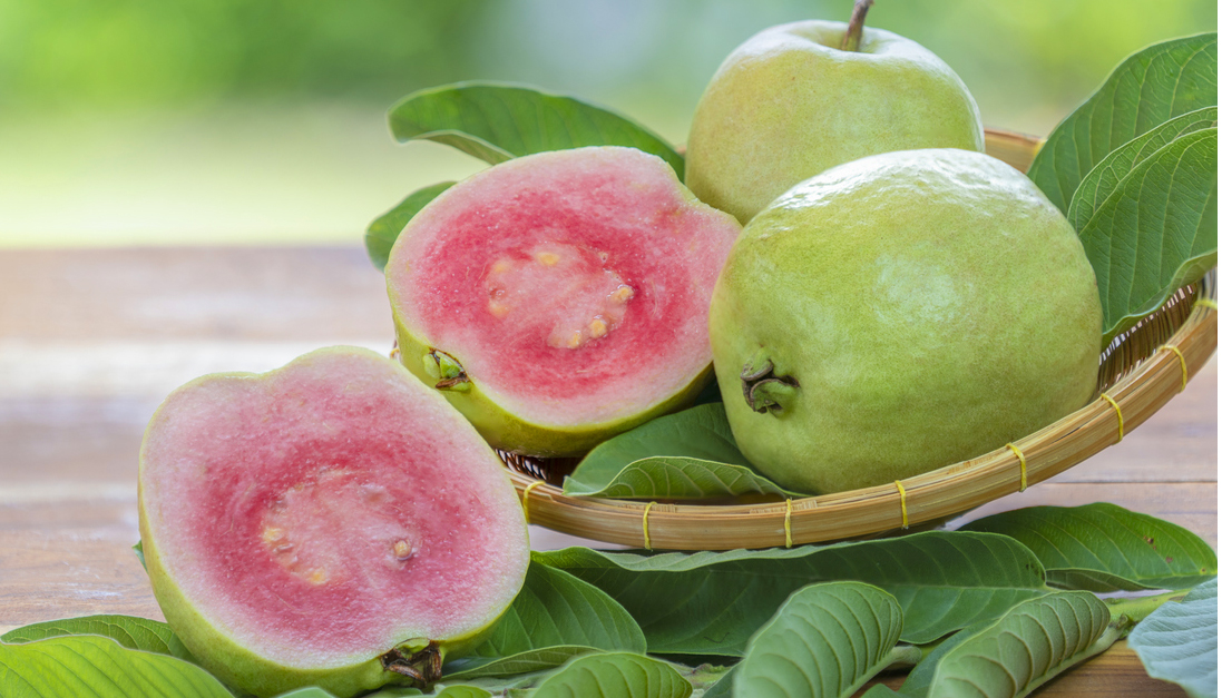 Guava