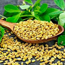 Fenugreek Seeds
