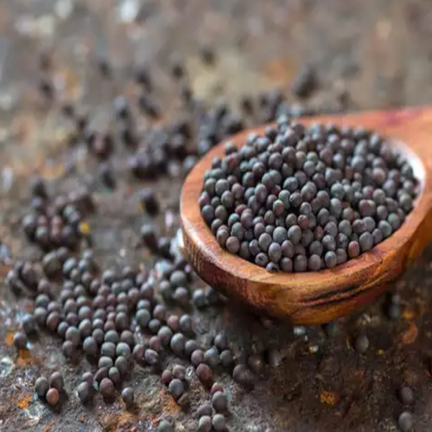 BLACK MUSTARD SEEDS