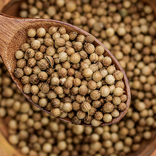 Coriander Seeds