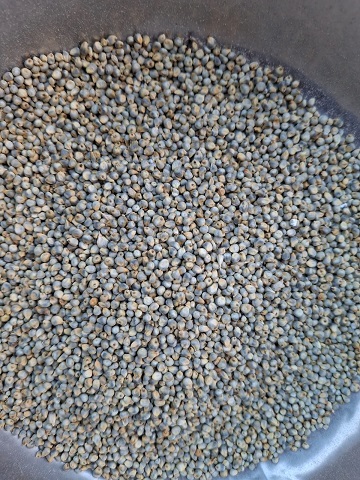 Green Millets 