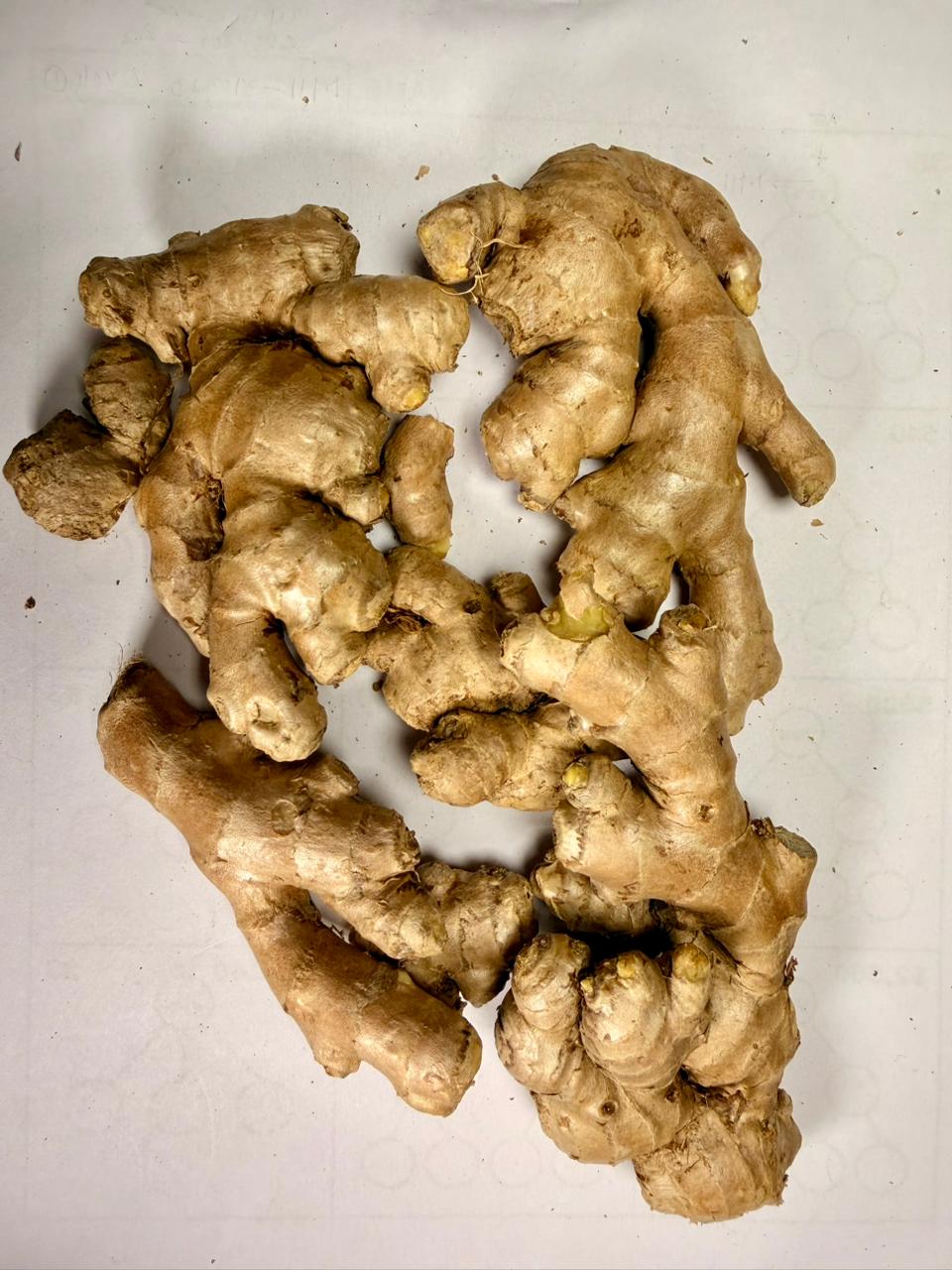 Fresh Ginger