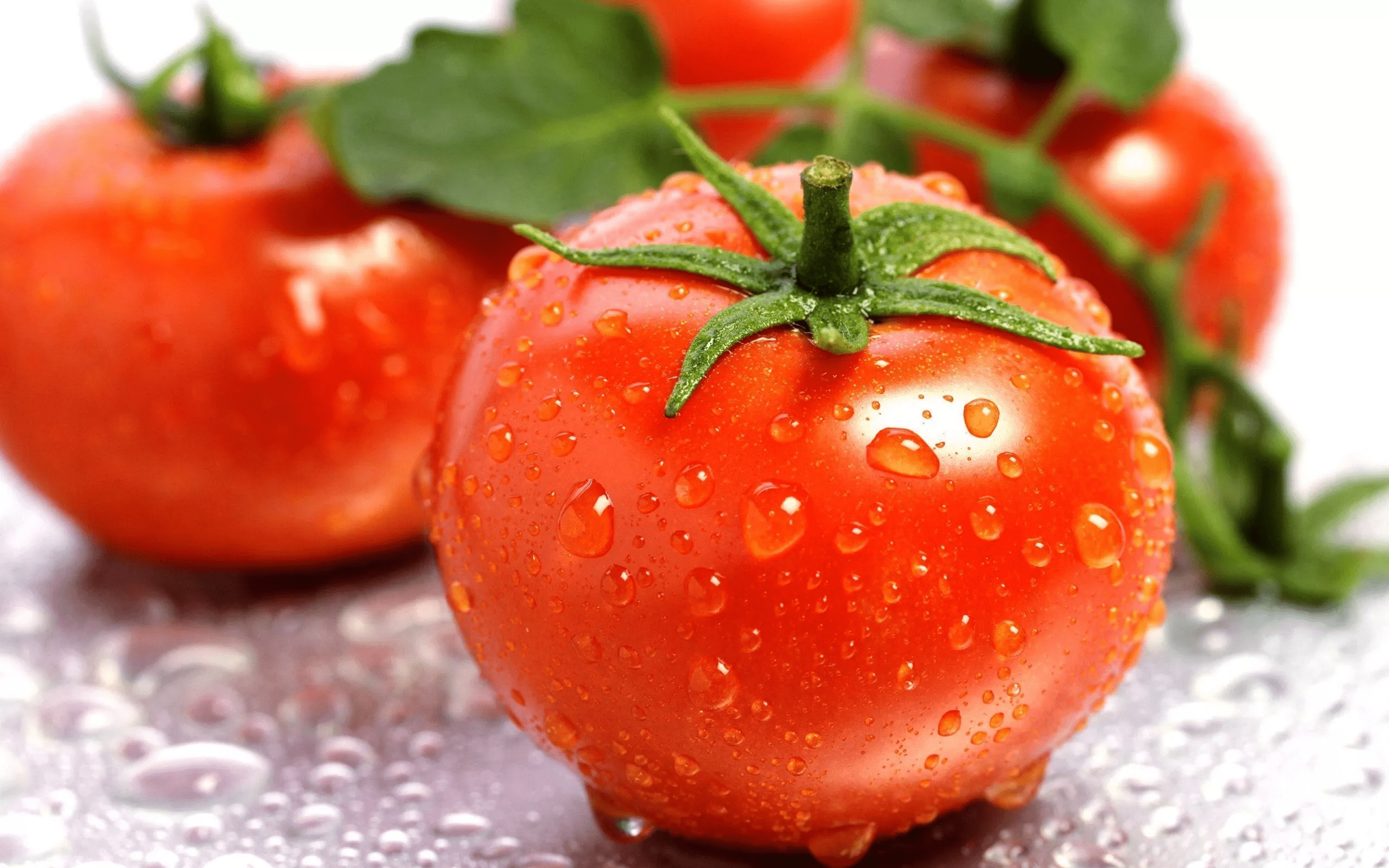 Fresh Tomato