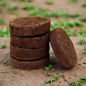 Cow Dung Cakes