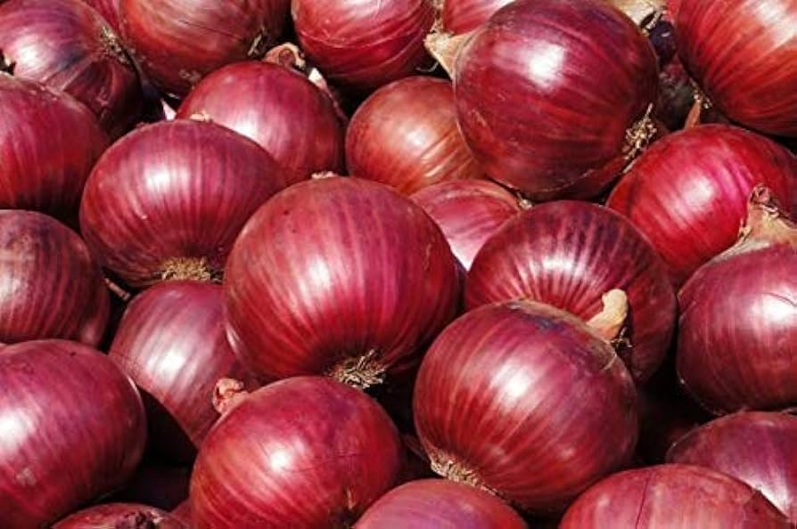 Fresh Onion