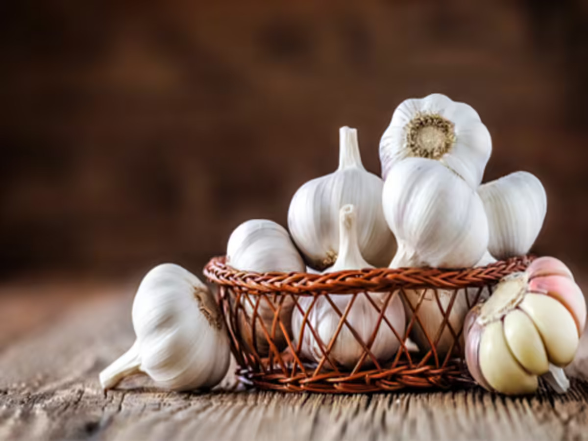 Fresh Garlic