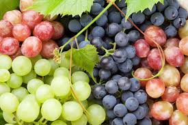 Fresh Grapes
