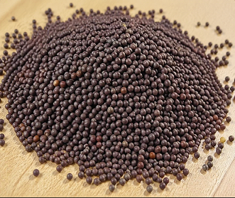 Mustard Seeds