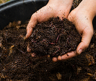 VERMICOMPOST
