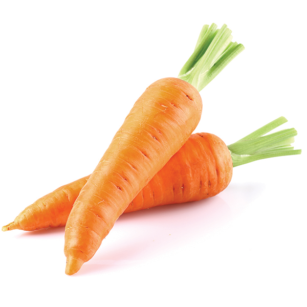 Carrot 
