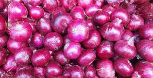 Fresh Onion