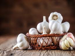 Garlic