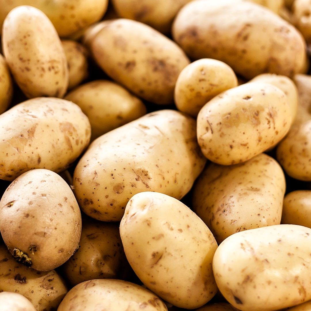 Fresh Potato