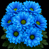 Graffiti Blue Flower 