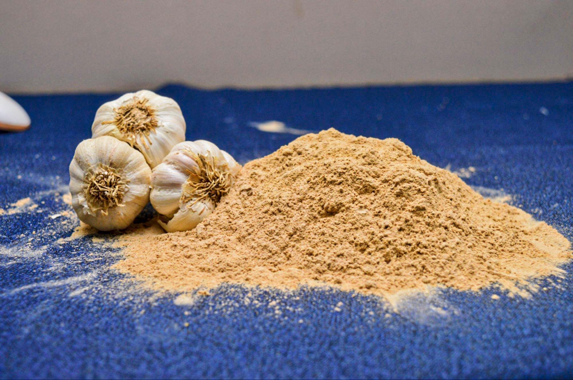 Dehydrated  Garlic powder 