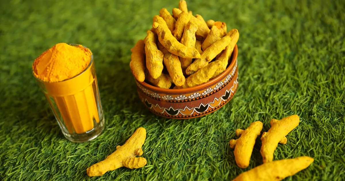  Turmeric Finger 