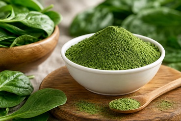Dehydrated Spinach Powder
