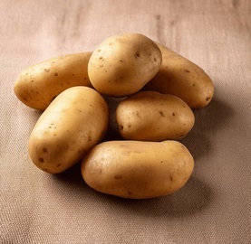Fresh Potato