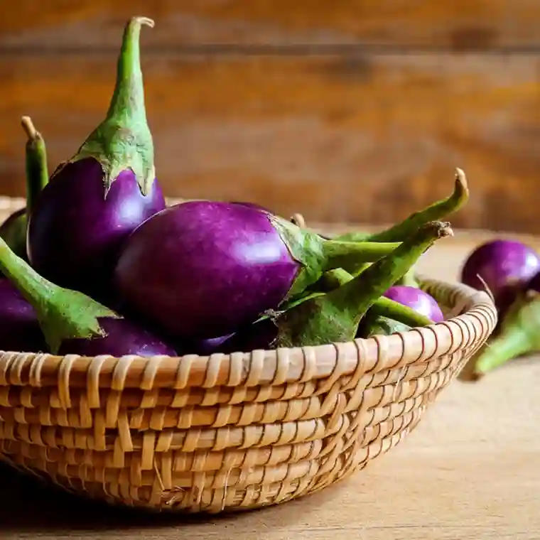 Brinjal