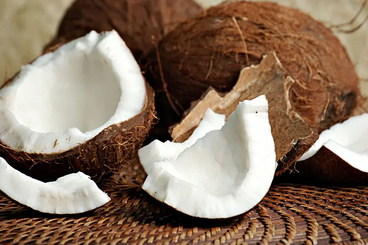 Coconut