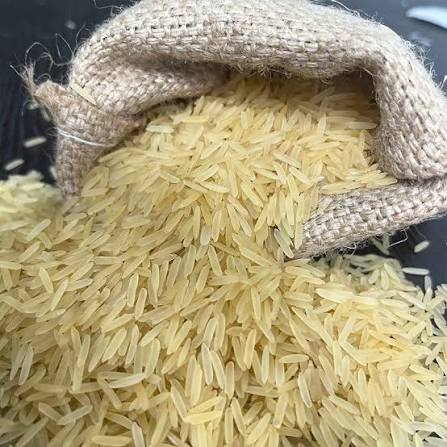Rice