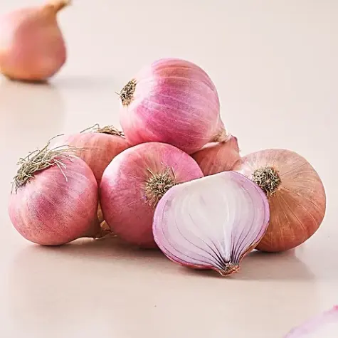 Fresh Onion